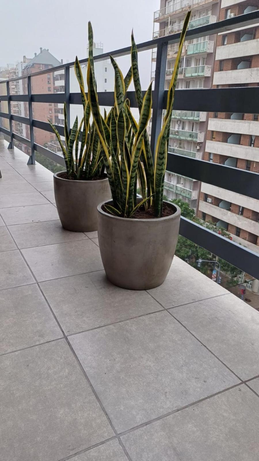 El Abrojal 3 - Dpto 1 A 3 Cuadras Patio Olmos
